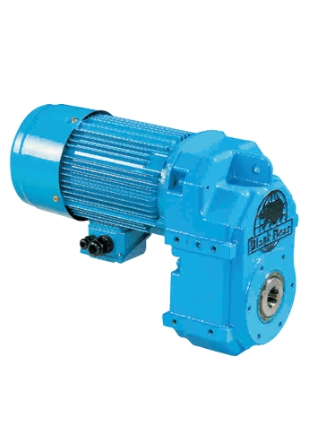 Gear Reducer Motor