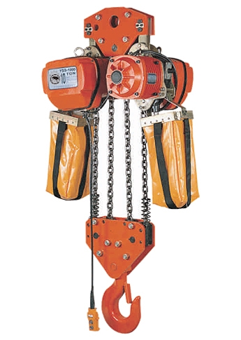 10T (4Fall) Electric Chain Hoist